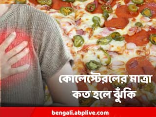 Cholesterol : হার্টের অসুখ থেকে দূরে থাকতে  কোলেস্টেরল-ট্রাইগ্লিসারাইডের মাত্রা ঠিক কত থাকতে হবে ?