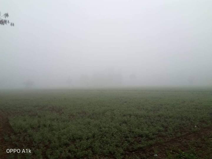 मौसम विभाग के वैज्ञानिकों के अनुसार पश्चिम से आने वाली नमी के कारण हिमालय में बर्फबारी हुई. हिमालय की बर्फबारी के कारण ही मध्य प्रदेश में ठंड का असर देखा जा रहा है. मौसम विभाग की मानें तो अब पूरे प्रदेश में सर्दी का असर जोर पकड़ेगा.