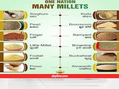 क्यों इतना खास है मोटा अनाज? खेती करने पर किसानों को कौन-कौन से फायदे मिलते हैं