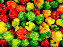 PHOTO: या गोष्टी फ्रीजमध्ये ठेवल्या तर बनतात 'विष', आजच व्हा सावध..