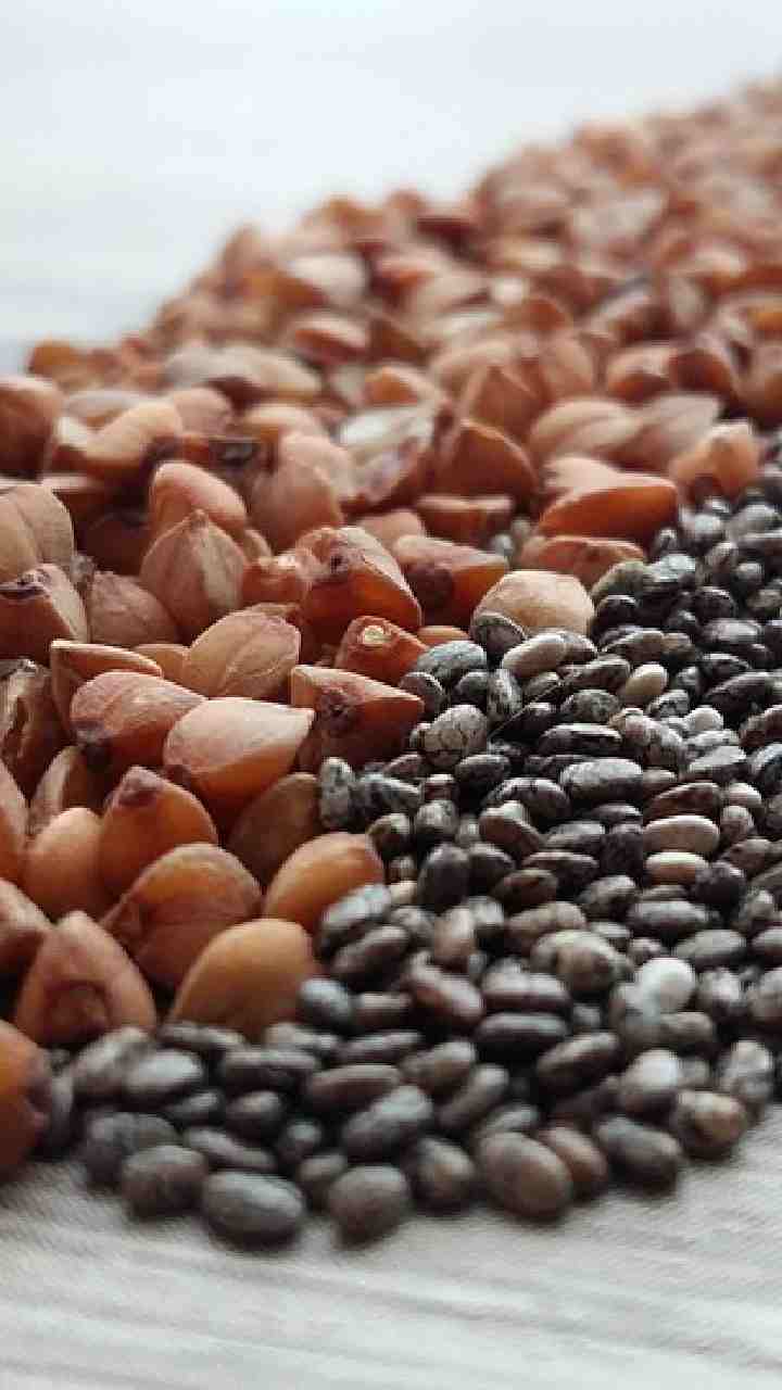 உங்கள் டயட்டில் இந்த விதைகளை எல்லாம் சேர்த்து பாருங்கள்..
