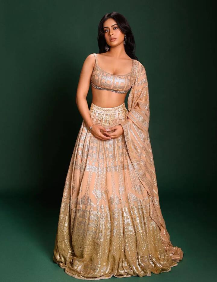 दिवाली पार्टी हो या कोई सेलिब्रिटी इवेंट, ट्रेडिशनल अंदाज में सज धज कर वह बेहज खूबसूरत लगती हैं. (फोटो क्रेडिट - न्यासा देवगन इंस्टाग्राम फैन पेज)