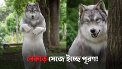 আজব ইচ্ছে! ১৮ লক্ষ খরচ করে মানুষ থেকে নেকড়ে সাজলেন যুবক
