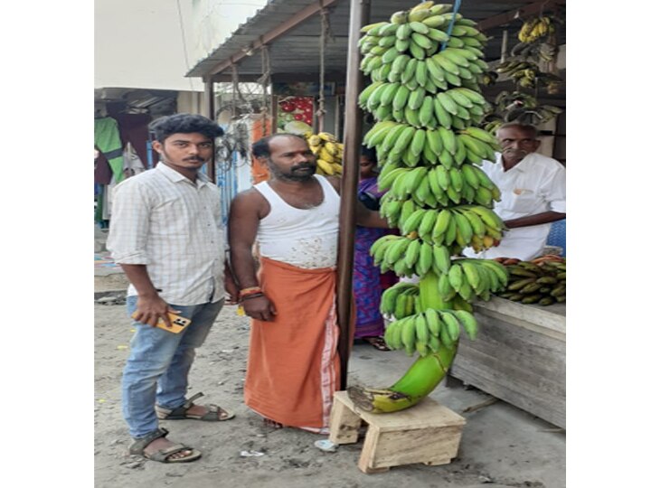 8 அடி உயரம்.. 100 கிலோ எடை... 550 காய்களை கொண்ட  அதிசய வாழைத்தார் -  வியந்து பார்க்கும் மக்கள்