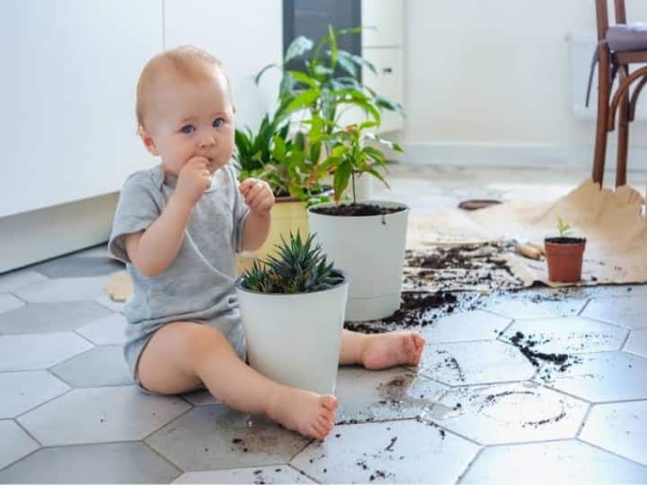 Child Care Tips child eating soil is dangerous for his Health Child Health Tips: बच्चे की मिट्टी खाने की आदत से हैं परेशान, दुलार न दिखाएं, आदत छुड़ाने पर दें ध्यान