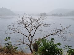 In Pics: जबलपुर में सर्दी ने पकड़ा जोर, घने कोहरे की वजह से विजिबिलिटी 50 मीटर से भी कम