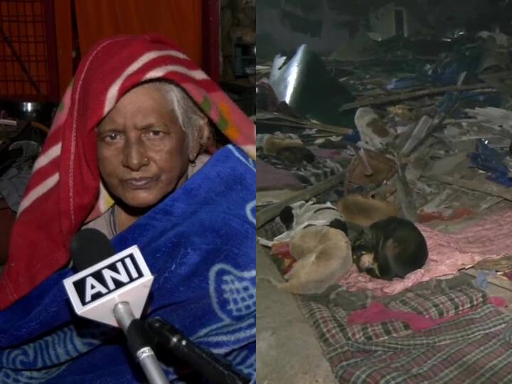 300 Dogs, Their Octogenarian Caretaker Thrown Out Of Home By MCD Staff As Delhi Shivers With Dipping Mercury Elderly Woman Braves Chilly Delhi Winters With Her 300 Dogs On Street As Civic Body Workers Demolish Jhuggi