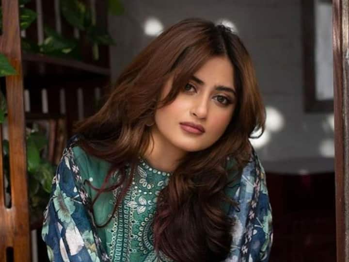 Sajal Aly hits back at ex Army officer claim that Pakistani actresses being used as honey traps Sajal Ali: 'पाकिस्तानी अभिनेत्रींचा 'हनी ट्रॅप' म्हणून वापर', निवृत्त पाकिस्तानी लष्करी अधिकाऱ्याचा दावा; अभिनेत्री सजल अलीची प्रतिक्रिया