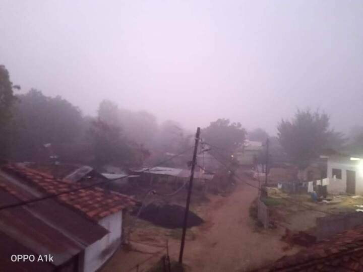 भोपाल में कोहरे का असर हवाई यात्राओं पर भी रहा. कोहरे के चलते भोपाल में विजिबिलिटी कम हुई है. नतीजतन मंगलवार की सुबह से भोपाल एयरपोर्ट पर एक भी फ्लाइट नहीं आई. दिल्ली, मुंबई से भोपाल आने वाली फ्लाइट्स उड़ान नहीं भर सकी.