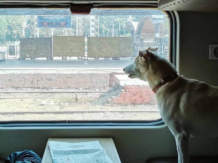 Pet Friendly Trains: விரைவில் செல்லப்பிராணிகளுக்கான ரயில் பெட்டிகள்... உச்சகட்ட எதிர்பார்ப்பில் பயணிகள் Indian railways to have pet friendly trains in North Eastern Railway trains Pet Friendly Trains: விரைவில் செல்லப்பிராணிகளுக்கான ரயில் பெட்டிகள்... உச்சகட்ட எதிர்பார்ப்பில் பயணிகள்