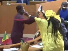 गर्भवती महिला सांसद के पेट पर सदन के अंदर मारी थी लात, कोर्ट ने दोनों सांसदों को 6 महीने के लिए भेजा जेल... पढ़िए पूरी स्टोरी