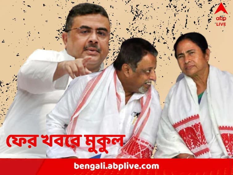 Suvdenu Adhikari alleges Mamata Banerjee wanted Mukul Roy to be leader of opposition in West Bengal Suvendu Adhikari: মুকুলকে বিরোধী দলনেতা করতে ধনকড়ের মধ্যস্থতা চেয়েছিলেন মমতা! দাবি শুভেন্দুর