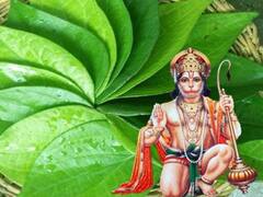 Hanuman Ji: मंगलवार को हनुमान जी को इस तरह चढ़ाएं पान, तरक्की में आ रही रुकावट होगी दूर
