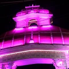 Kalighat : কলকাতার অভিভাবকরূপে কালীঘাটে বিরাজ করছেন মা দক্ষিণাকালী, কী তাঁর মাহাত্ম্য ?