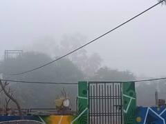 In Pics: देश में दूसरे नंबर पर भोपाल में सबसे घना कोहरा, राजा भोज एयरपोर्ट से एक भी फ्लाइट ने नहीं भरी उड़ान