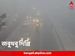 কনকনে ঠান্ডা, তার দোসর ঘন কুয়াশা, জবুথবু দিল্লি, এল শৈত্যপ্রবাহ সতর্কতাও