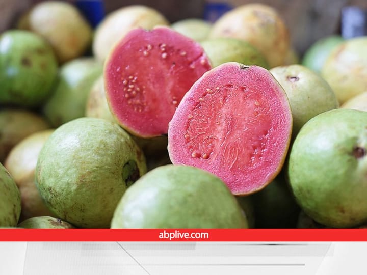Japanese red diamond guava production Farmers can earn profit of lakhs of rupees Guava Production: जापानी रेड डायमंड अमरूद, जितना खाने में मीठा..उतनी ही शानदार कमाई भी है