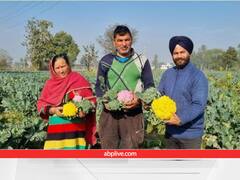 1 हेक्टेयर खेत से करीब 4 लाख रुपये कमा रहा जम्मू का ये किसान, रंगीन विदेशी सब्जियों ने बदल दी जिंदगी