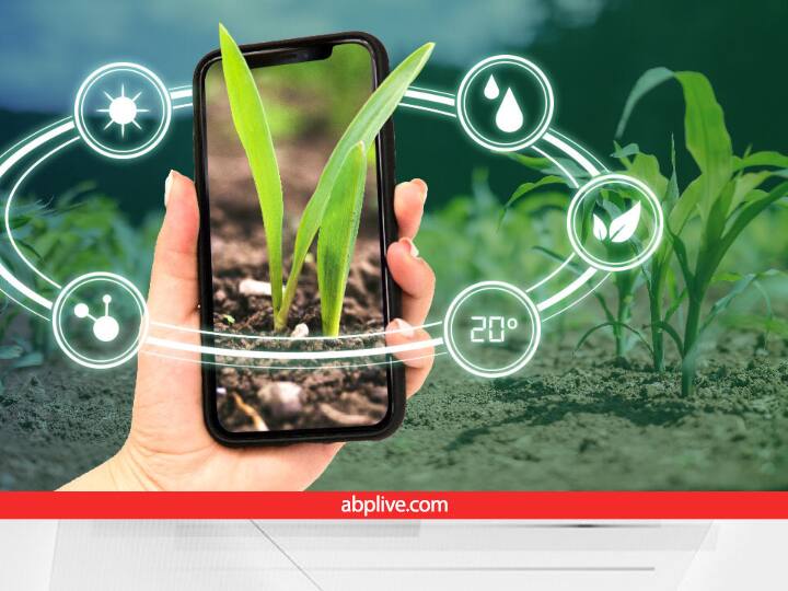 Damini and Meghdoot mobile app will provide hi-tech security of crops and farmers through Weather Updates Agri Tech: क्लाइमेंट चेंज के दौर में हर किसान का सुरक्षा कवच बनेंगे ये 2 मोबाइल एप, मौसम की मार से फसल की होगी हाईटेक सिक्योरिटी