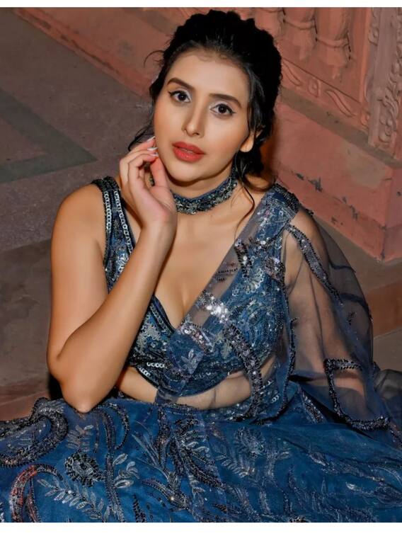 चारू असोपा हैं इतनी पढ़ी-लिखी