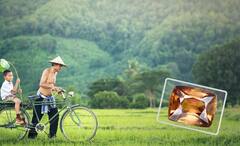 Kyawthuite: গোটা বিশ্বে রয়েছে মাত্র একটিই, অমূল্য এই মণি কেনার ক্ষমতা নেই ইলন মাস্কেরও