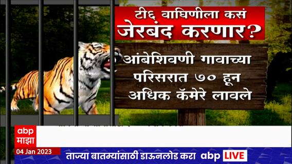 Gadchiroli T-6 Tiger Special Report : टी - 6 वाघिणीची दहशत, वाघिणीच्या शोधासाठी 100 जणांचं पथक