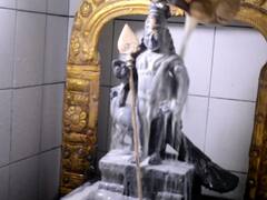 கரூரில் ஸ்ரீ பால முருகனுக்கு மார்கழி மாத கிருத்திகையை முன்னிட்டு சிறப்பு அபிஷேகம்