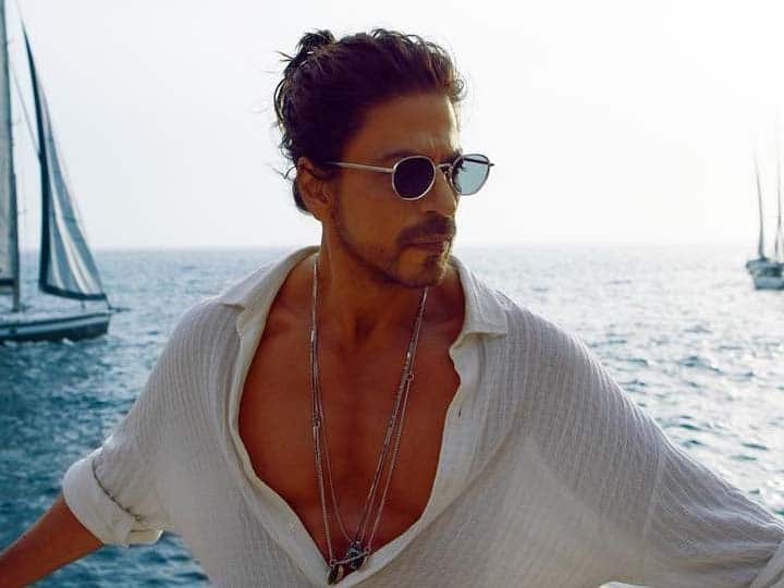 Shah Rukh Khan responds to user who says pathaan already disaster you should take retirement Shah Rukh Khan Tweet: 'डिजास्टर है पठान...रियाटरमेंट ले लो', यूजर के ट्वीट पर भड़के शाहरुख खान, दिया ये करारा जवाब