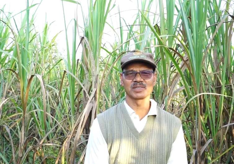 Gujarat Agriculture News: Tapi district farmer earns Rs 3 lakh profit against expense of Rs 50 thousand through natural farming Natural Farming:  તાપી જિલ્લાના આ ખેડૂતે પ્રાકૃતિક ખેતીથી 50 હજારના ખર્ચ સામે મેળવ્યો 3 લાખનો નફો, ખેડૂતોને આપી ખાસ સલાહ