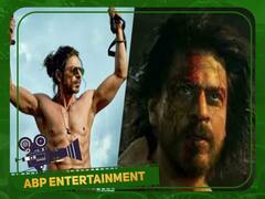 Pathaan Disaster : 'பதான் படம் ஒரு பேரழிவு'... ட்வீட் மூலம் ஷாருக்கானை சீண்டிய இணையவாசி... என்ன நடந்தது ?