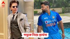 ও লড়াকু ছেলে, দ্রুত সুস্থ হয়ে যাবে, পন্থের জন্য প্রার্থনা বাদশার