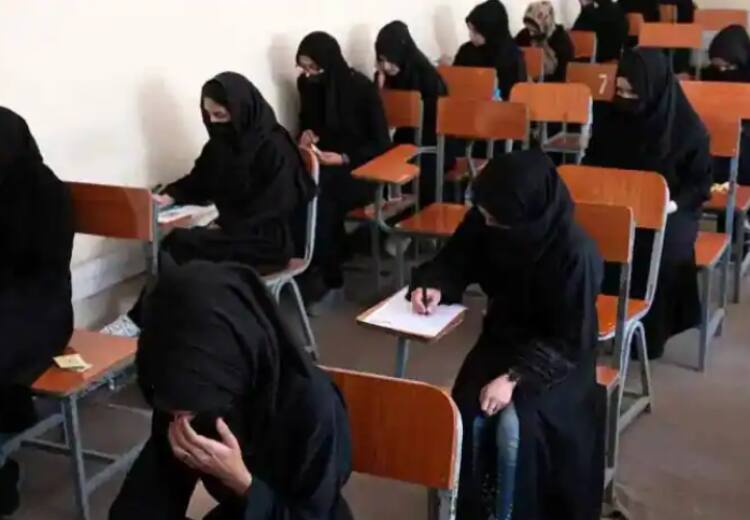 'Women's Rights Not A Priority': Taliban Spokesperson After Education Ban 'Women's Rights Not A Priority': Taliban After Education Ban In Afghanistan