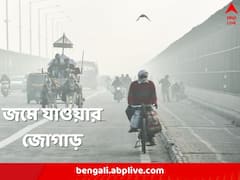 ৮.৫ থেকে একধাক্কায় ৪.৪, জমে যাওয়ার জোগাড়, শৈত্যপ্রবাহের দাপটে কাবু দিল্লি