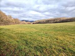 'गर्मी की तरह है...', यूरोप के कई देशों में बढ़े तापमान ने चिंता में डाला, कभी जमी रहती थी बर्फ