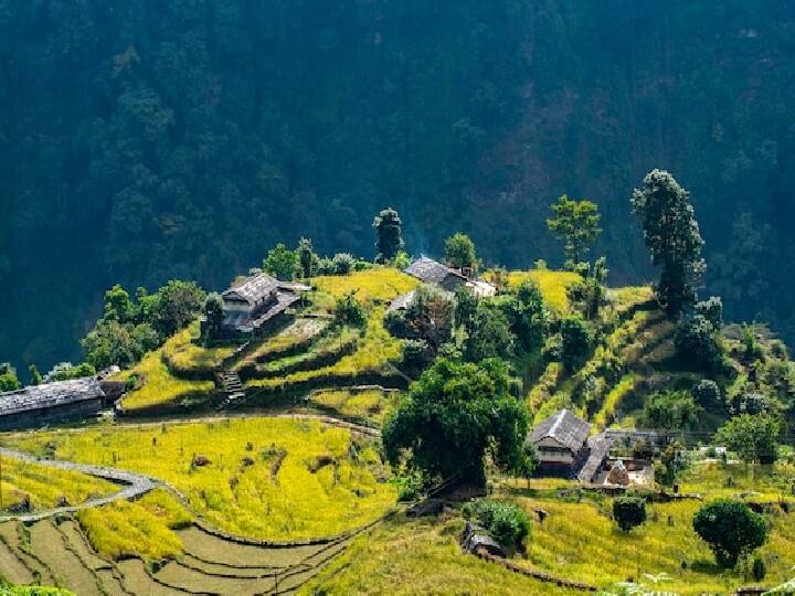 हर जगह रात में रुकने के लिए 3 स्टार होटल की फैसिलिटी मिलेगी. आपको हर जगह जाने के लिए कैब या बस की सुविधा मिलेगी.(PC: Freepik)
