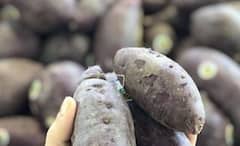 Sweet Potato: খোসা থেকে ভিতর পর্যন্ত পুষ্টিগুণে সমৃদ্ধ রাঙা আলু, বাড়তে দেয় না বয়স, প্রতিরোধ করে ক্যান্সারও