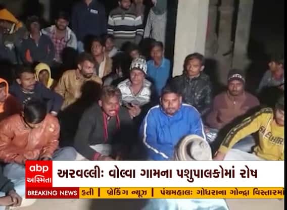 અરવલ્લી વોલ્વા ગામના પશુપાલકોને પશુદાણ ન મળતા નારાજ, દૂધ મંડળીમાં ન ભરાવ્યું દૂધ