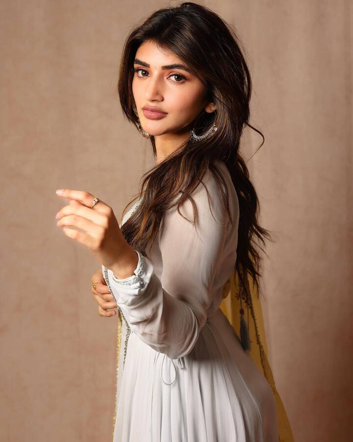 ధమాకా సినిమాతో హిట్ కొట్టింది. అందులో ఆమె డ్యాన్సుకు ఎంతో మంది ఫ్యాన్స్ అయిపోయారు.  -Image Credit: Sree Leela/Instagram