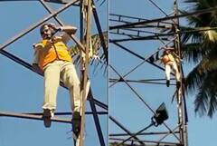 Viral video: ਬੇਂਗਲੁਰੂ ਪੁਲਿਸ ਦੇ ਕਾਂਸਟੇਬਲ ਨੇ ਕਬੂਤਰ ਨੂੰ ਬਚਾਉਣ ਲਈ ਆਪਣੀ ਜਾਨ ਖਤਰੇ 'ਚ ਪਾਈ, ਜਿੱਤਿਆ ਉਪਭੋਗਤਾਵਾਂ ਦਾ ਦਿਲ