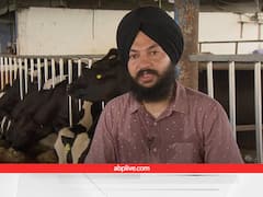 150 गायों के डेयरी फार्म के साथ किसान ने लगाया बायोगैस प्लांट, अब चूल्हा जलाने के लिए पूरे गांव को मुफ्त में ईंधन