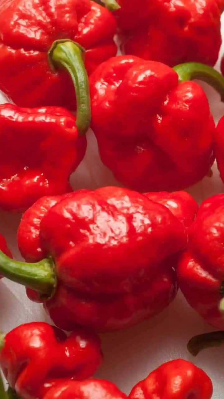 டிரினிடாட் மோருகா ஸ்கார்பியன்