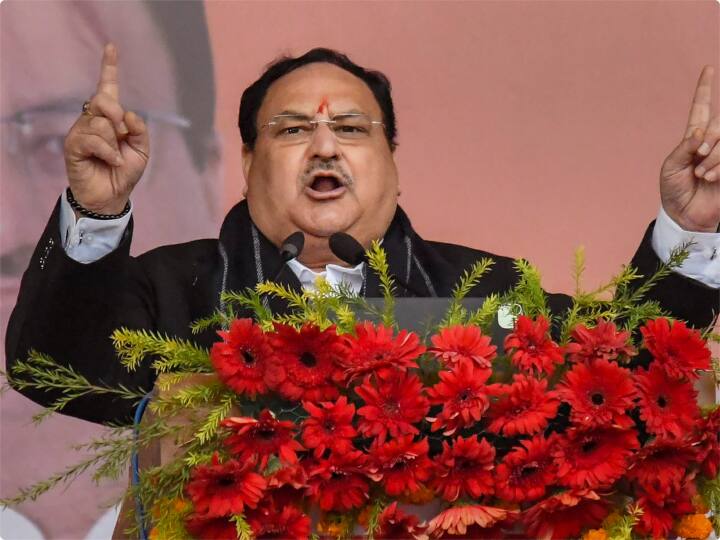 BJP President JP Nadda claim to form government in Bihar know what political expert says क्या बिहार में बीजेपी अपने दम पर बना लेगी सरकार? जानें जेपी नड्डा के दावे में है कितना दम