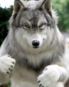 Wolf Man : एकेकाची हौसच न्यारी, लांडग्यासारखा दिसतोय भारी, खर्च तर...