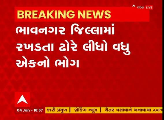 Bhavnagar: રખડતા ઢોર બન્યા 'યમરાજ', સાંઢે ટક્કર માર્યા બાદ આધેડનું સારવાર દરમિયાન મોત