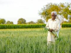 Government Scheme: બિઝનેસ શરૂ કરવા માટે સરકાર ખેડૂતોને 3 લાખ રૂપિયા સુધીની લોન આપે છે! જાણો કેવી રીતે કરશો અરજી