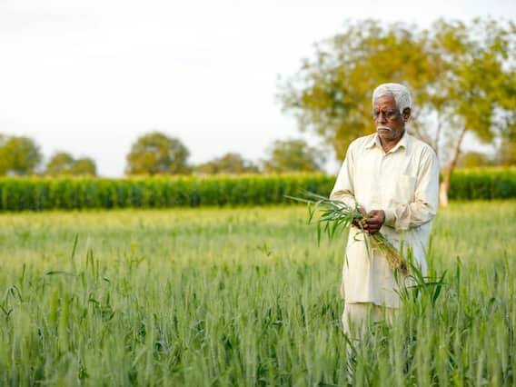આ યોજના હરિયાણા સરકાર દ્વારા પશુ કિસાન ક્રેડિટ કાર્ડના નામે ચલાવવામાં આવે છે. આ અંતર્ગત ખેડૂતો લોન લઈને પશુ ખરીદી શકે છે. એટલે કે, જો તમારી પાસે પૈસા ન હોય, તો તમે આ યોજના હેઠળ પૈસા લઈને પશુઓ ખરીદી શકો છો અને તે પશુ કે પશુનો વ્યવસાય શરૂ કરી શકો છો.