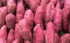 Sweet Potato: খোসা থেকে ভিতর পর্যন্ত পুষ্টিগুণে সমৃদ্ধ রাঙা আলু, বাড়তে দেয় না বয়স, প্রতিরোধ করে ক্যান্সারও