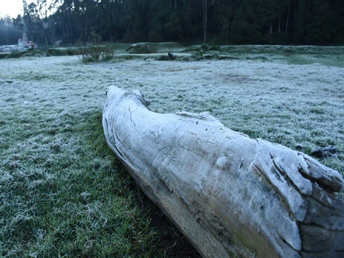 TN Weather Update: மக்களே உஷார்.. வரும் 9-ஆம் தேதி வரை மிதமான மழைக்கு வாய்ப்பு.. அதிகாலையில் பனிமூட்டம்.. இன்றைய வானிலை நிலவரம் இதோ..