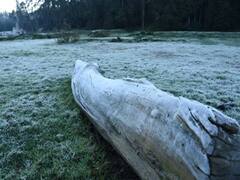 TN Weather Update: மக்களே உஷார்.. வரும் 9-ஆம் தேதி வரை மிதமான மழைக்கு வாய்ப்பு.. அதிகாலையில் பனிமூட்டம்.. இன்றைய வானிலை நிலவரம் இதோ..