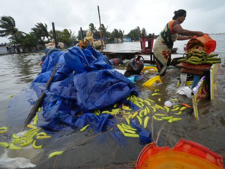 Andhra Pradesh: Centre Approves Rs 28-Cr Relief Funds To Tobacco Farmers Affected By Cyclone Mandous Andhra Pradesh: Centre Approves Rs 28-Cr Relief For Tobacco Farmers Affected By Cyclone Mandous